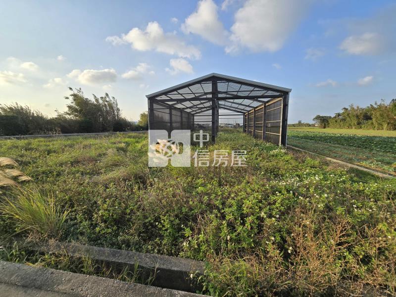 觀音近66鋼構農業產銷設施房屋室內格局與周邊環境