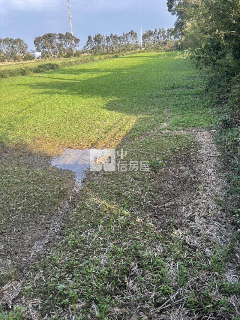 新屋中山路旁雙面路漂亮農地房屋室內格局與周邊環境