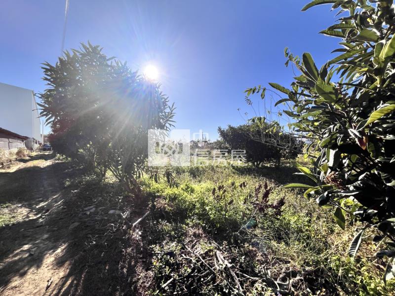 水井街大地坪合法農舍房屋室內格局與周邊環境