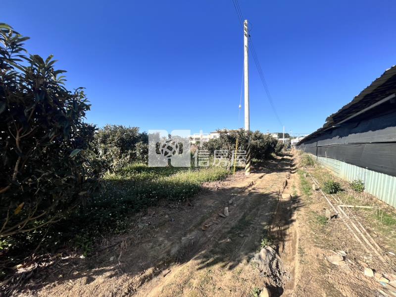 水井街大地坪合法農舍房屋室內格局與周邊環境