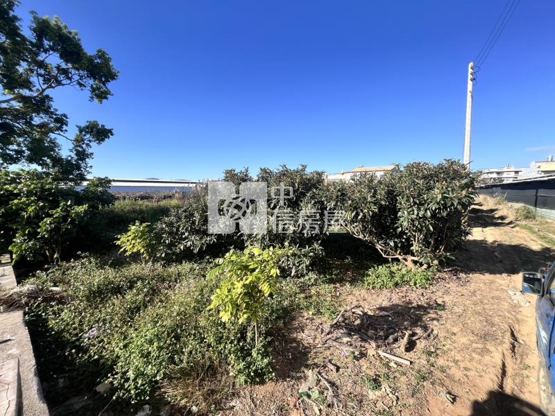 水井街大地坪合法農舍房屋室內格局與周邊環境