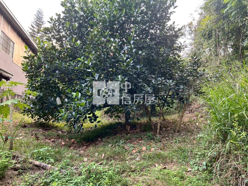 新化球場鳳凰山莊旁一般方正農地房屋室內格局與周邊環境