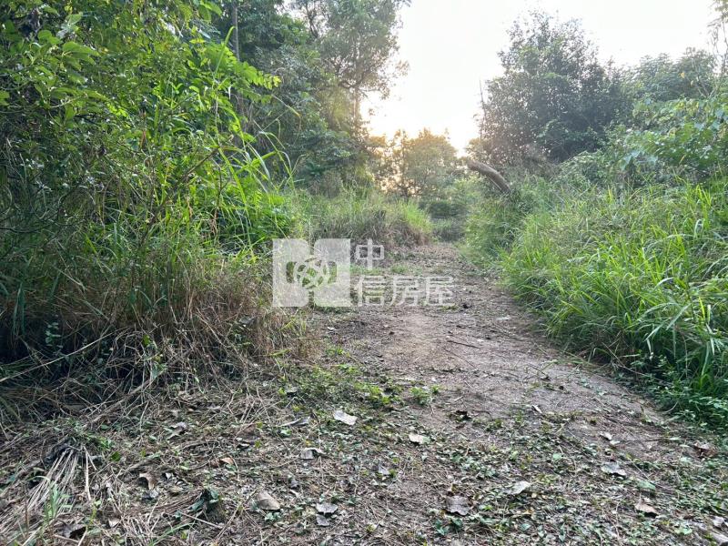 新化球場鳳凰山莊旁一般方正農地房屋室內格局與周邊環境