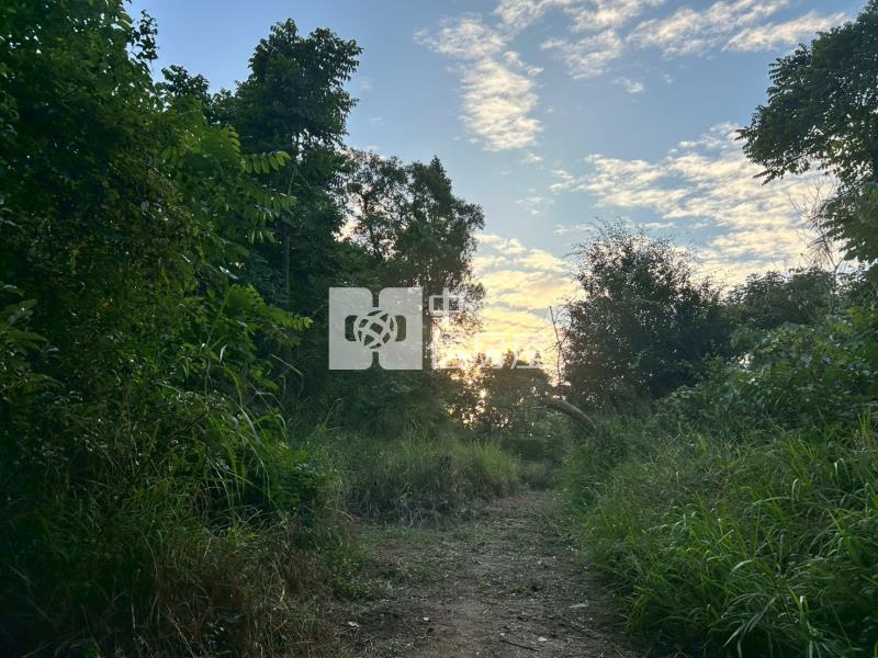 新化球場鳳凰山莊旁一般方正農地房屋室內格局與周邊環境