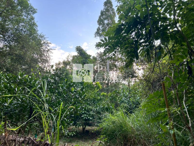 新化球場鳳凰山莊旁一般方正農地房屋室內格局與周邊環境