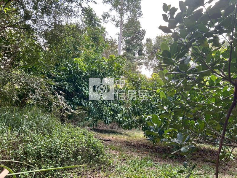 新化球場鳳凰山莊旁一般方正農地房屋室內格局與周邊環境