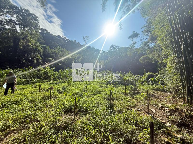 大溪信義路小坪數農地(A)房屋室內格局與周邊環境