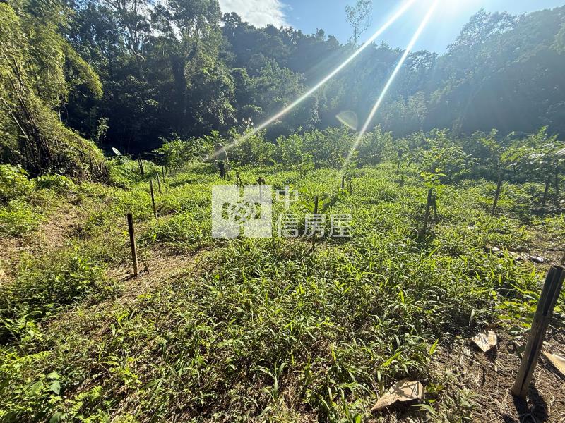 大溪信義路小坪數農地(B)房屋室內格局與周邊環境