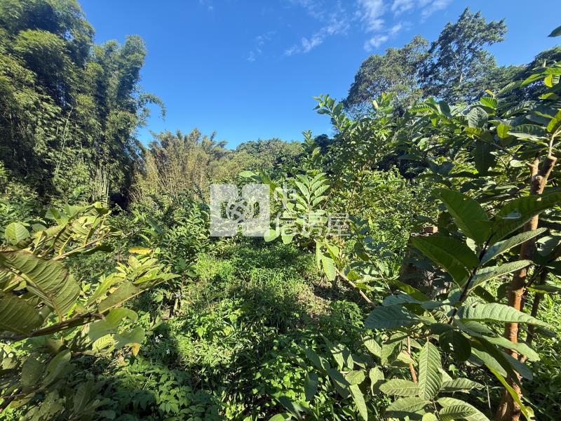 大溪信義路小坪數農地(B)房屋室內格局與周邊環境