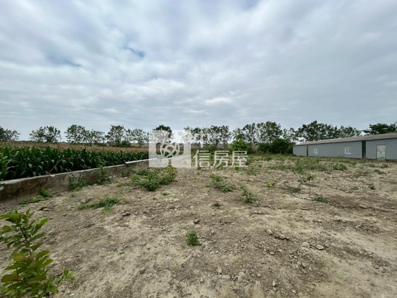 安定國中區徵農地房屋室內格局與周邊環境