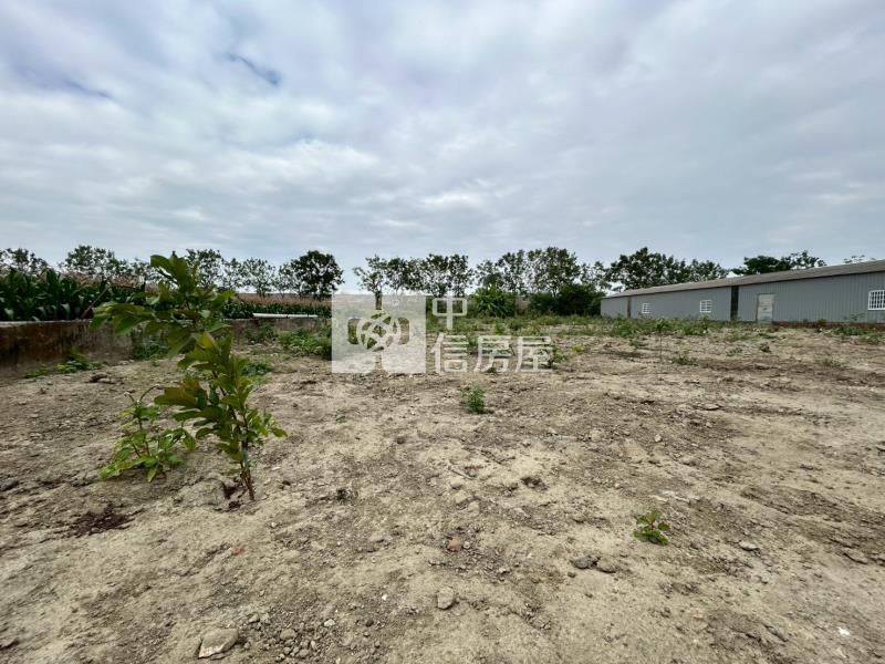 安定國中區徵農地房屋室內格局與周邊環境