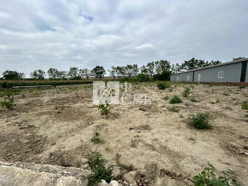 安定國中區徵農地房屋室內格局與周邊環境