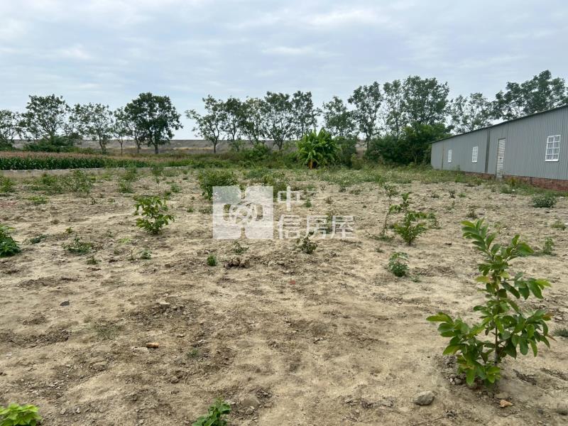 安定國中區徵農地房屋室內格局與周邊環境