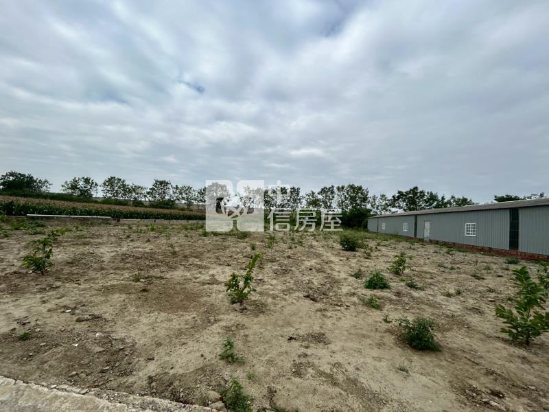 安定國中區徵農地房屋室內格局與周邊環境