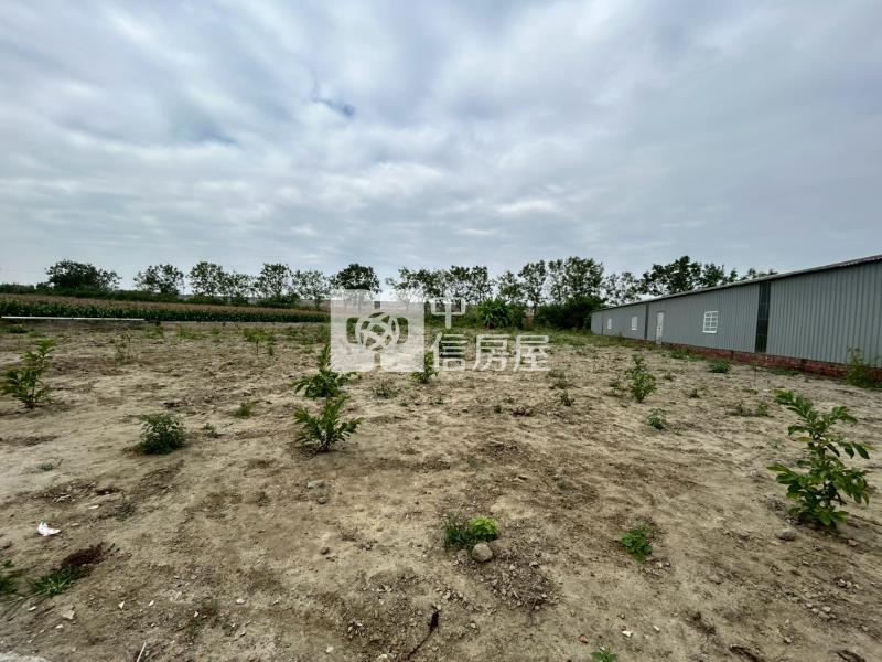 安定國中區徵農地房屋室內格局與周邊環境