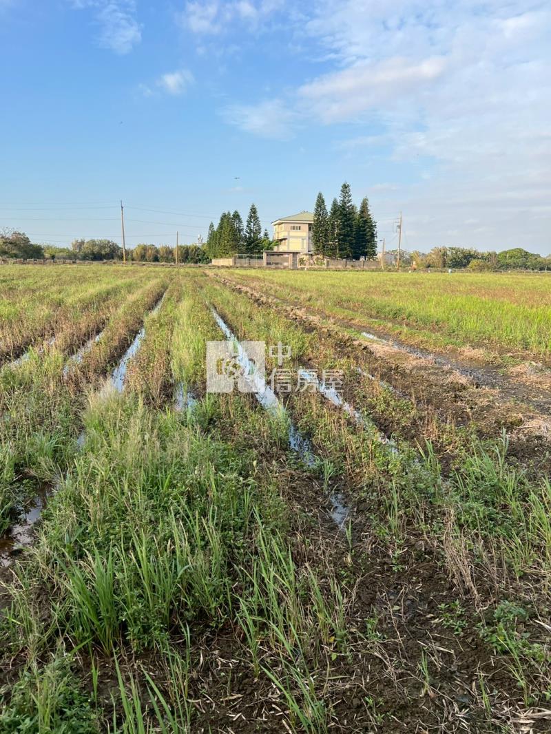 新屋快速路八段美農地房屋室內格局與周邊環境