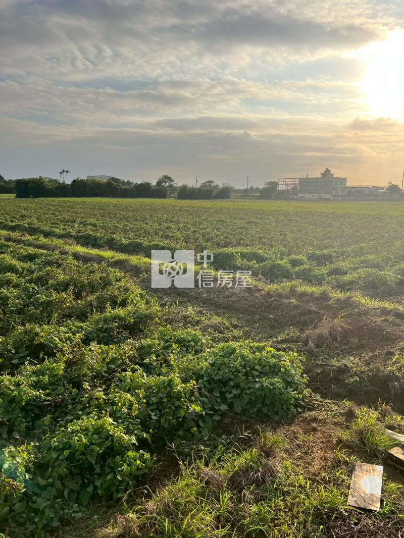 新屋快速路八段美農地房屋室內格局與周邊環境