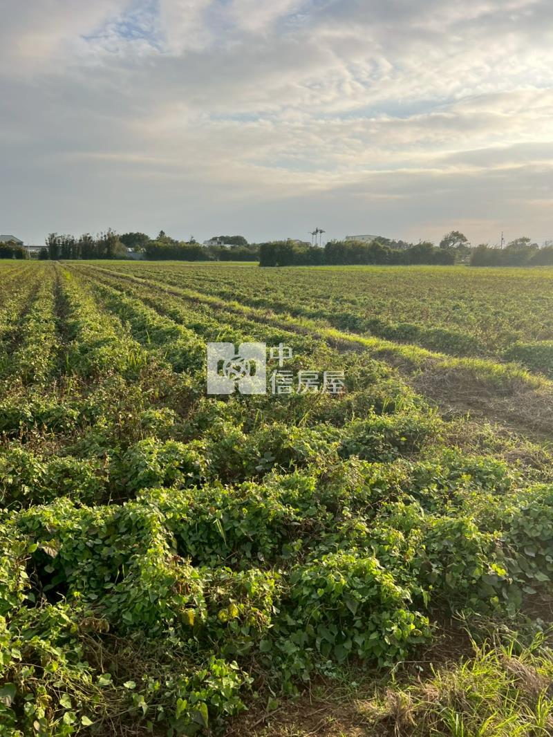 新屋快速路八段美農地房屋室內格局與周邊環境