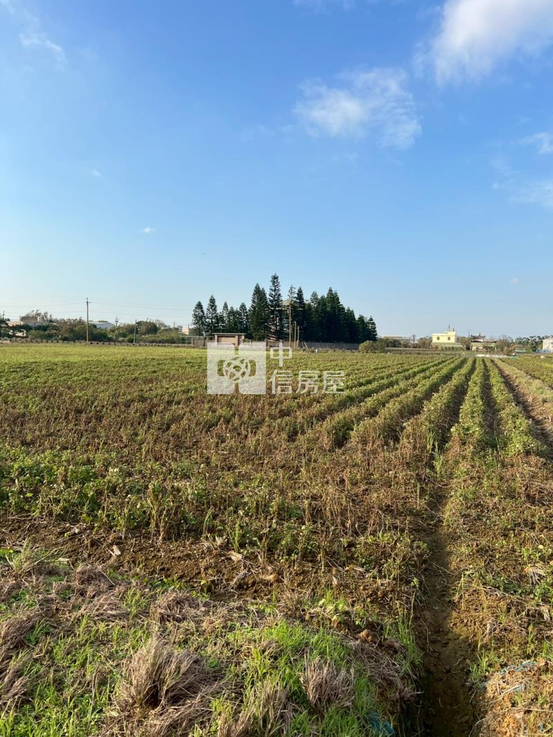 新屋快速路八段美農地房屋室內格局與周邊環境