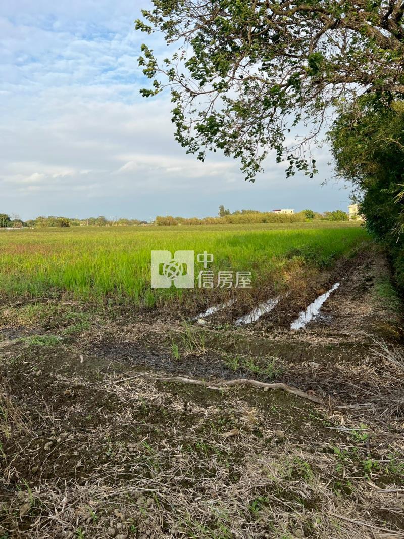 新屋快速路八段美農地房屋室內格局與周邊環境