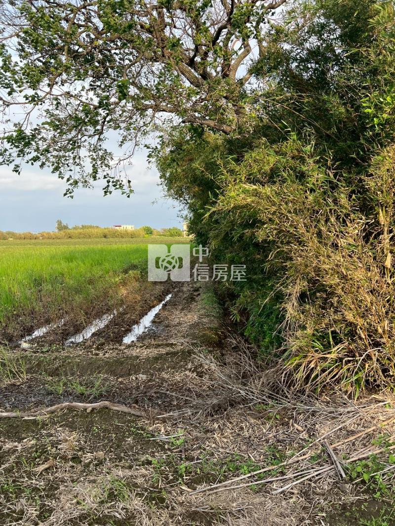 新屋快速路八段美農地房屋室內格局與周邊環境
