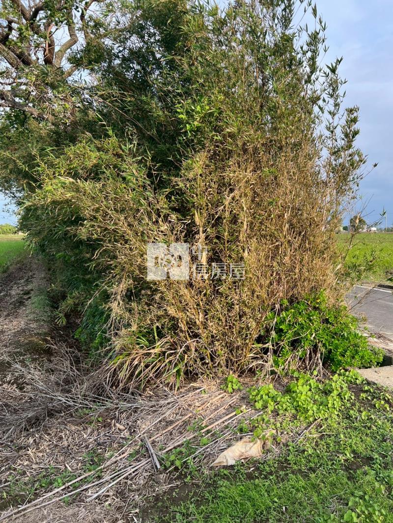 新屋快速路八段美農地房屋室內格局與周邊環境