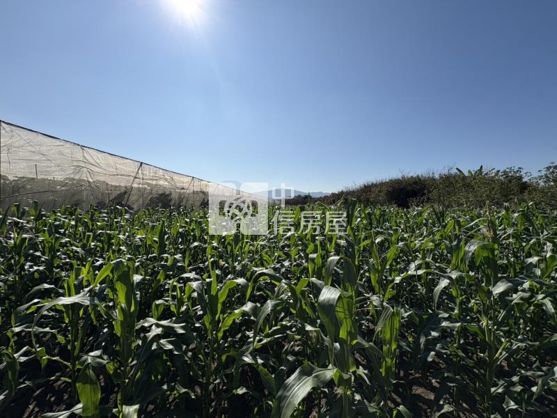 紅瓦厝自然系農地房屋室內格局與周邊環境