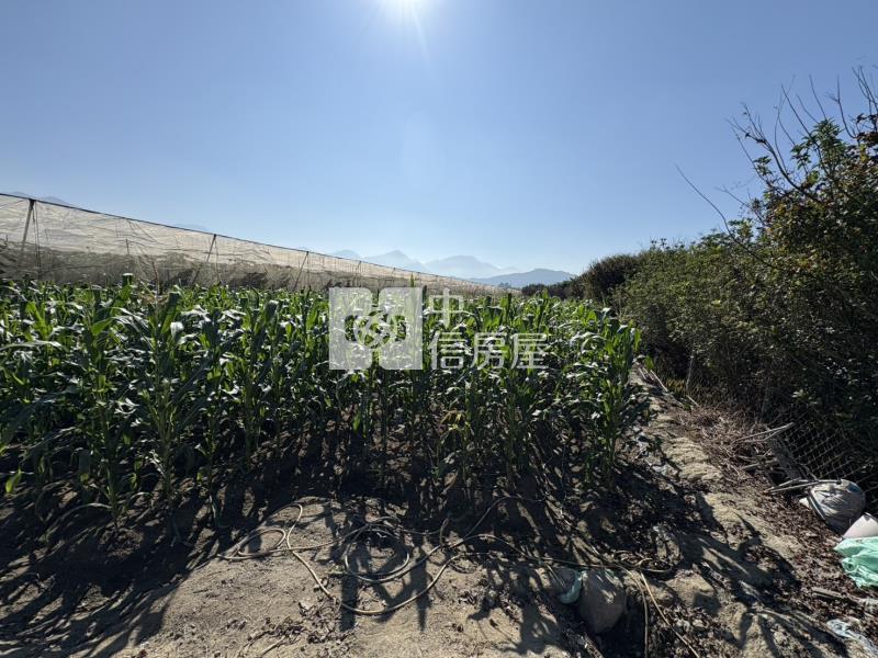 紅瓦厝自然系農地房屋室內格局與周邊環境