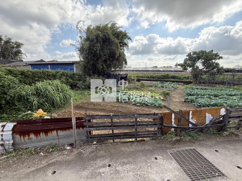 1I90蘆竹交通用地(倉儲、物流)房屋室內格局與周邊環境