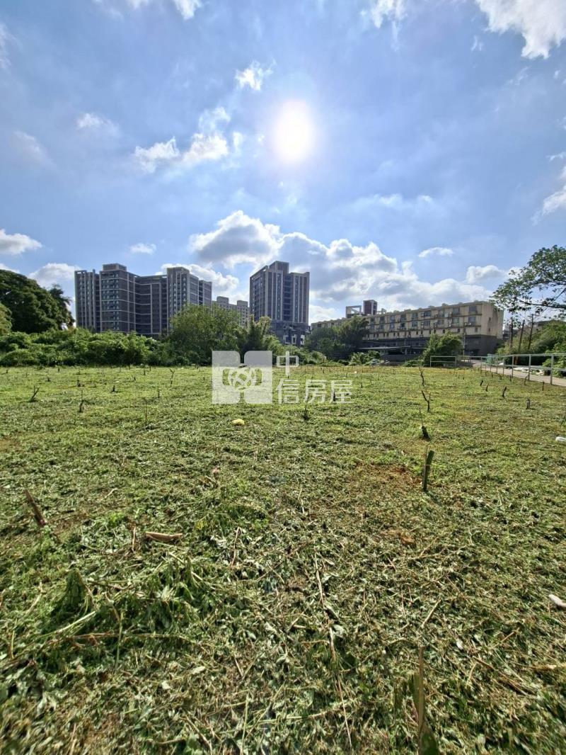 【安家】平鎮區南平路都內農*可分割房屋室內格局與周邊環境