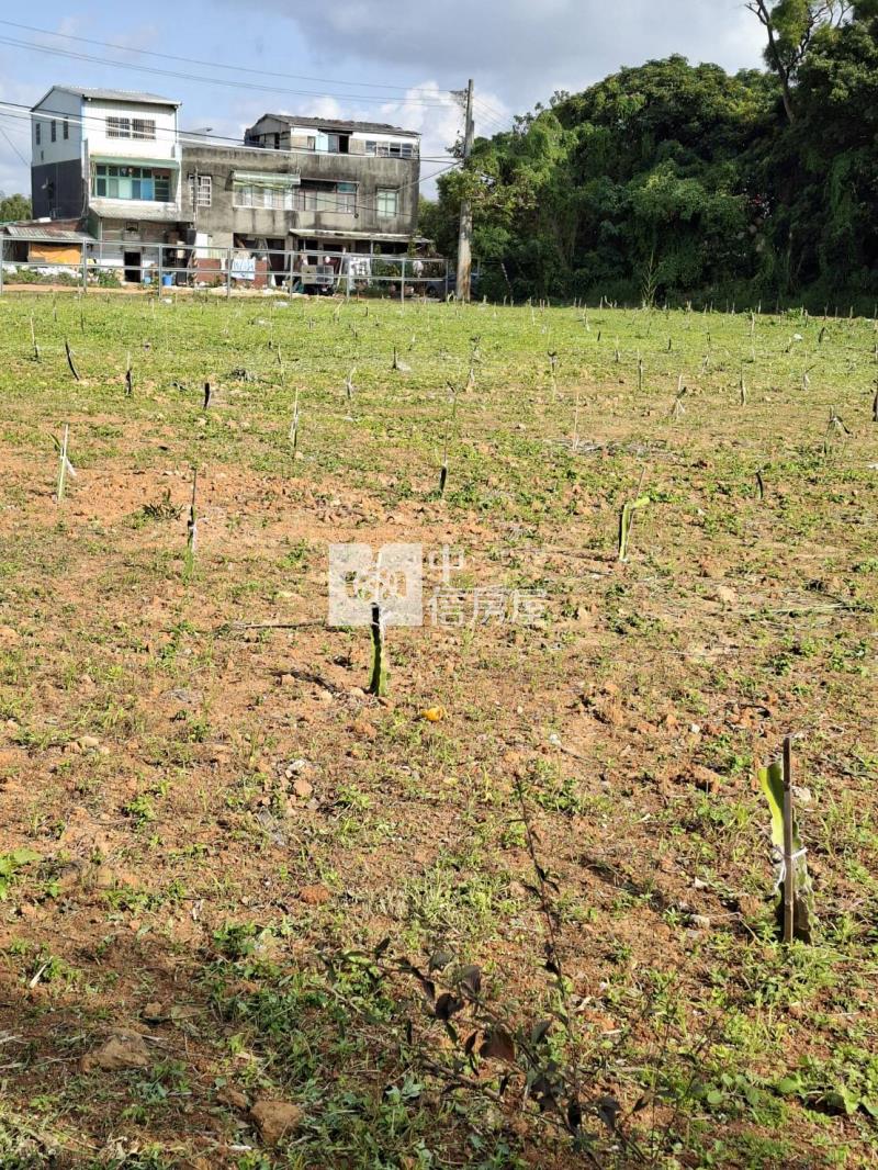 【安家】平鎮區南平路都內農*可分割房屋室內格局與周邊環境