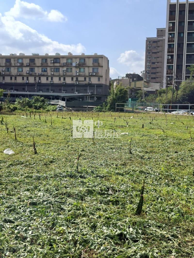 【安家】平鎮區南平路都內農*可分割房屋室內格局與周邊環境