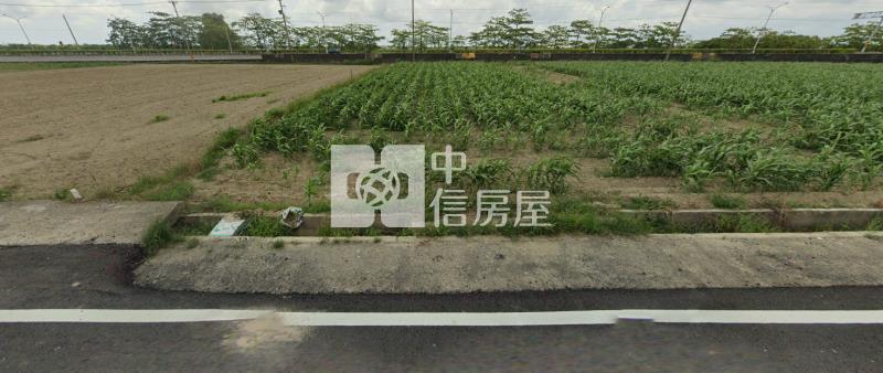 鹽水田寮臨台19線前後臨路農地房屋室內格局與周邊環境