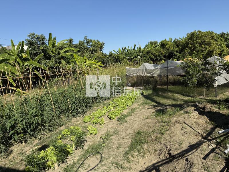 鳳山公園用地已搭鐵皮屋房屋室內格局與周邊環境