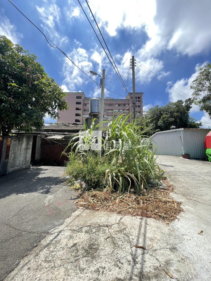 專任臨路需整理邊間平房房屋室內格局與周邊環境