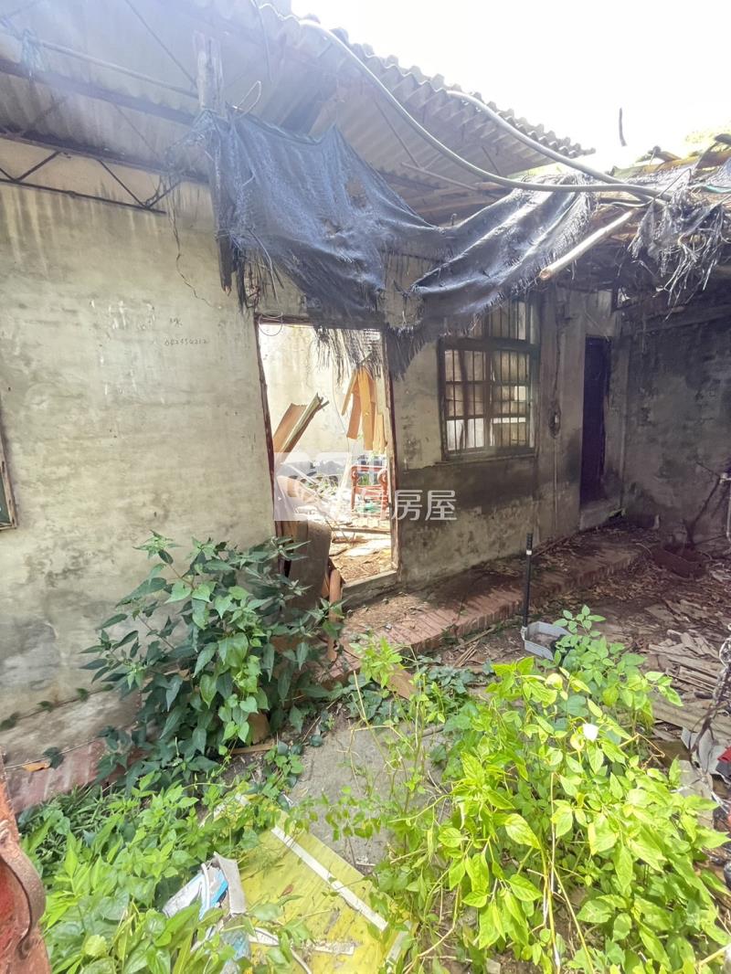 專任臨路需整理邊間平房房屋室內格局與周邊環境