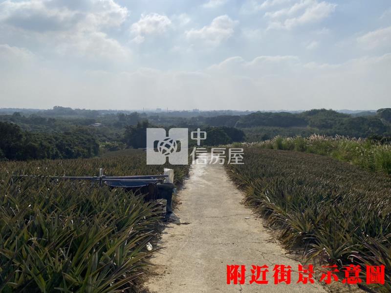 專約關廟鳳梨園2房屋室內格局與周邊環境