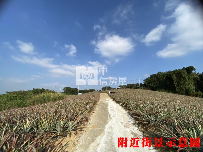 專約關廟鳳梨園2房屋室內格局與周邊環境