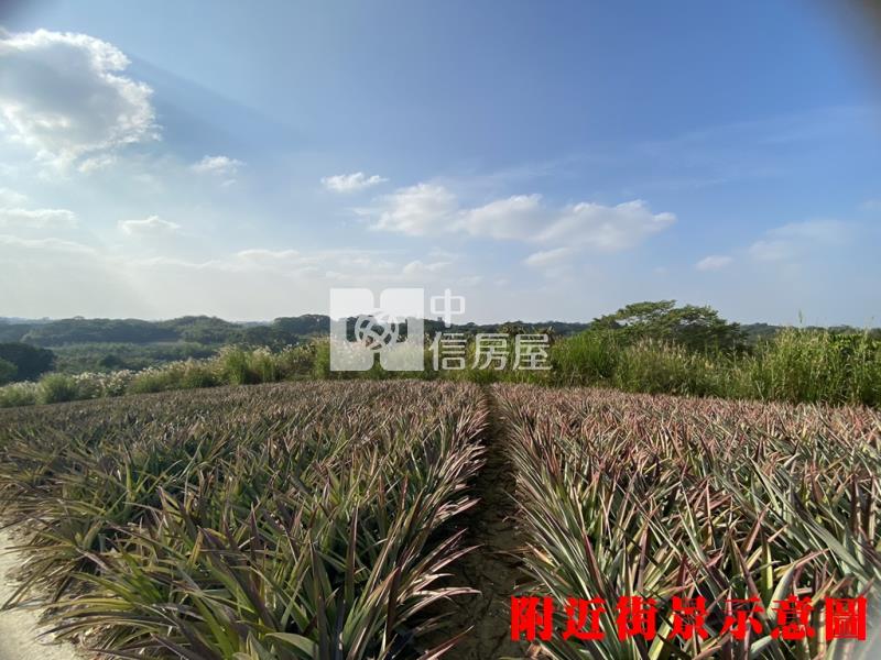 專約關廟鳳梨園2房屋室內格局與周邊環境