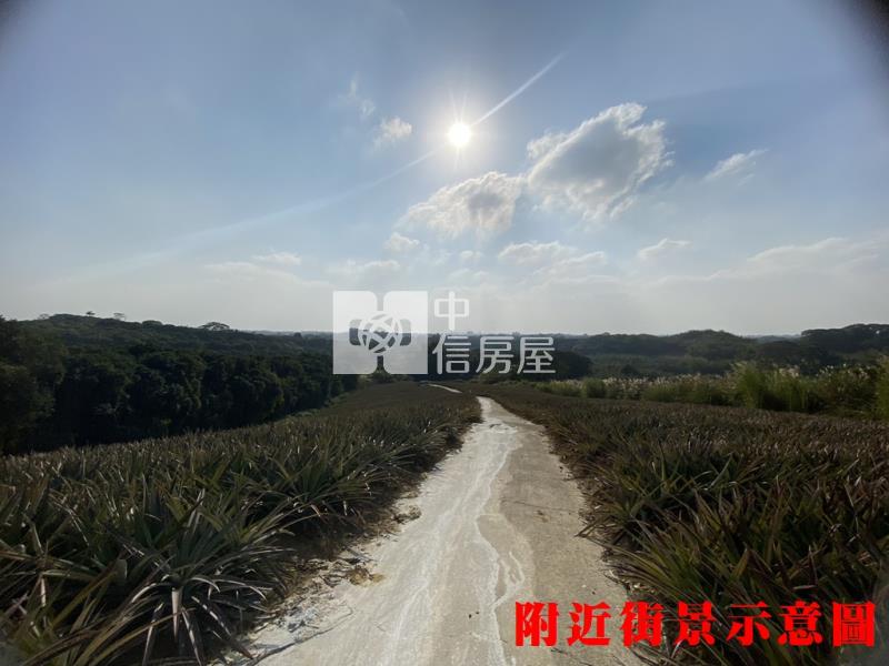 專約關廟鳳梨園2房屋室內格局與周邊環境