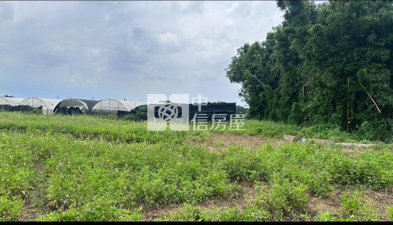 正40米路倉儲.物流+(鋼構建照)交通用地房屋室內格局與周邊環境