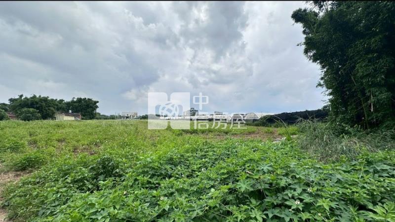 正40米路倉儲.物流+(鋼構建照)交通用地房屋室內格局與周邊環境