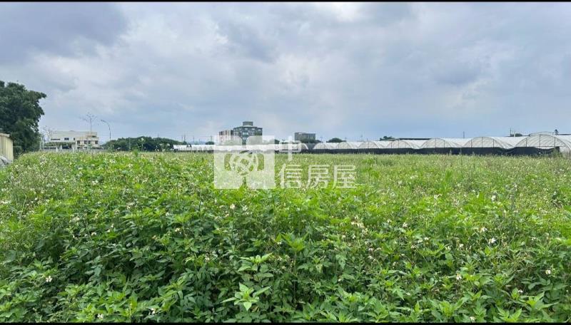 正40米路倉儲.物流+(鋼構建照)交通用地房屋室內格局與周邊環境