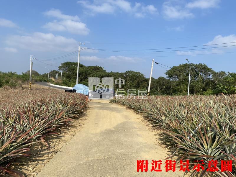 專約關廟鳳梨園1房屋室內格局與周邊環境