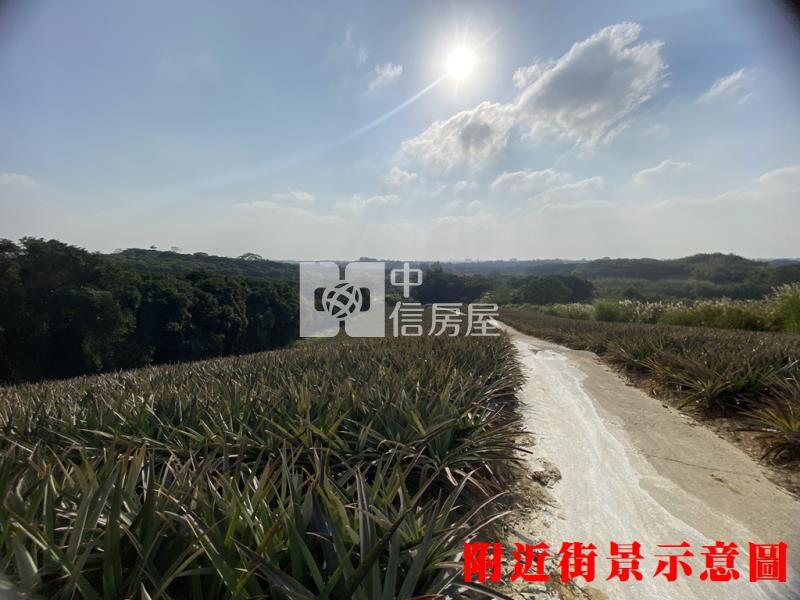 專約關廟鳳梨園1房屋室內格局與周邊環境