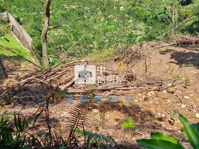 【新夢想】新竹關西820坪農舍用農地房屋室內格局與周邊環境