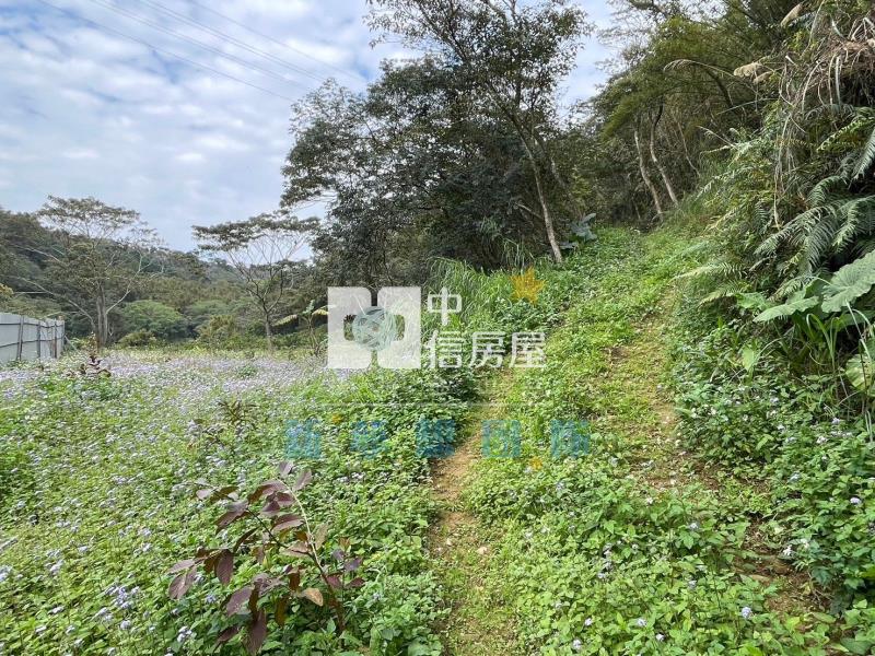 【新夢想】新竹關西820坪農舍用農地房屋室內格局與周邊環境