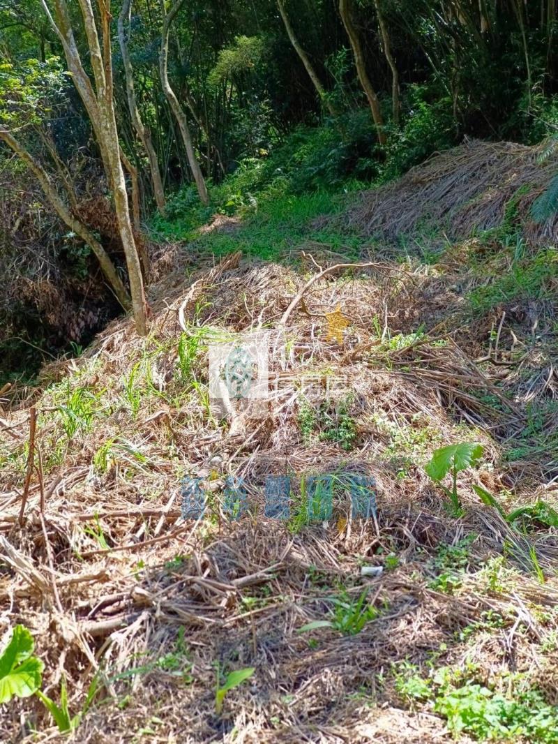 【新夢想】新竹關西820坪農舍用農地房屋室內格局與周邊環境