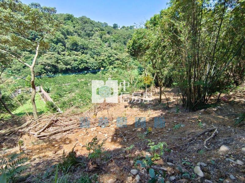 【新夢想】新竹關西820坪農舍用農地房屋室內格局與周邊環境