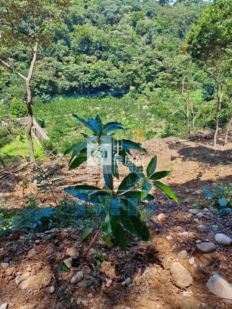 【新夢想】新竹關西820坪農舍用農地房屋室內格局與周邊環境